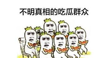 吃瓜群众看结果,揭秘真相背后的故事