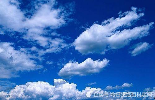 蓝天白云吃瓜图片,蓝天白云映衬下的悠闲吃瓜时光