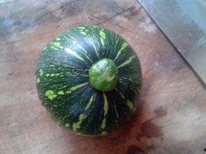 湖南吃瓜学姐,揭秘校园热点背后的故事