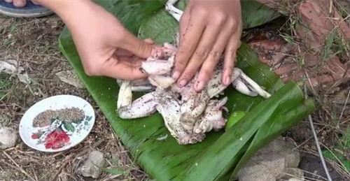 野外大姐吃海绵瓜,邂逅美味海绵瓜之旅