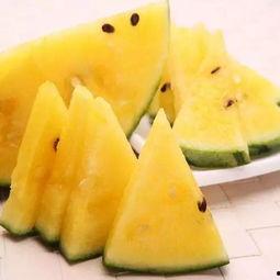 好用的吃瓜网,好用的吃瓜网带你畅游八卦世界