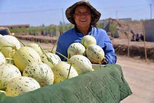 妹子想当吃瓜群众,妹子化身吃瓜群众，一探究竟！