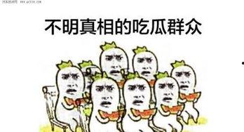 吃瓜群众的口碑怎么样,吃瓜群众口碑揭秘，哪些瓜最甜？