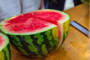 广西各校吃瓜,校园瓜果飘香，风味各具特色