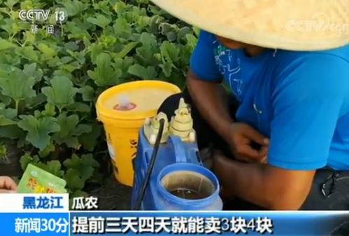 带你吃瓜拆快递,带你揭秘“吃瓜拆快递”背后的趣味与惊喜