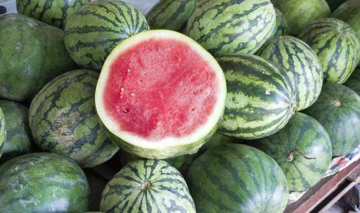 吃瓜根本吃不完,揭秘那些吃不完的瓜的秘密