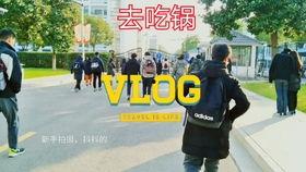 丁山职校 吃瓜,揭秘校园“吃瓜”文化背后的故事