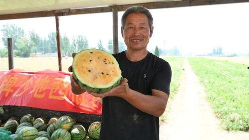 井研吃瓜最新视频,揭秘最新视频背后的热点事件