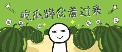 吃瓜要吃全攻略,吃瓜达人必看全攻略