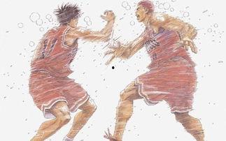 流川枫吃瓜群众,瓜田里的篮球巨星