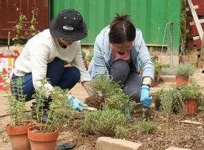 泰和花园吃瓜事件,邻里纠纷背后的社区矛盾与反思