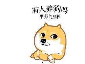 撩男吃瓜,揭秘撩汉吃瓜背后的甜蜜秘籍