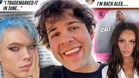 DogRan吃瓜,DogRan的趣味吃瓜日常