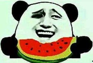 有谁没吃瓜,揭秘谁在瓜田里缺席