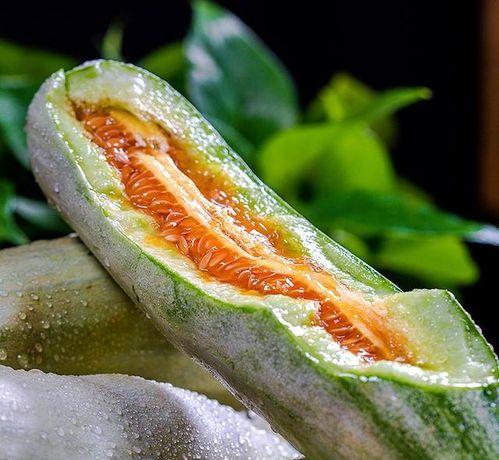 报恩瓜什么品种推荐吃,报恩瓜品种推荐，让你品尝最佳口感