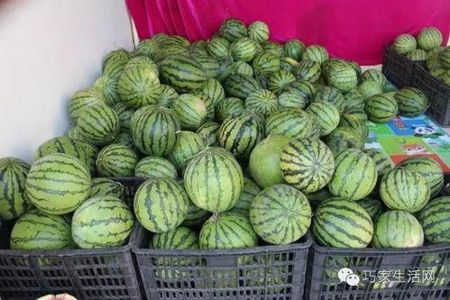 重庆吃瓜陈某某,揭秘网络红人的崛起与争议