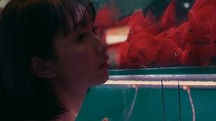 少女吃瓜鸿雁,一场跨越时空的青春对话