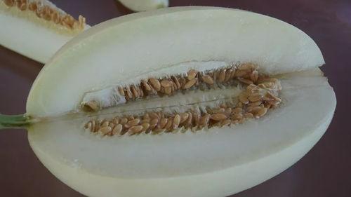 带你吃瓜集诗句,古风诗句中的趣味人生