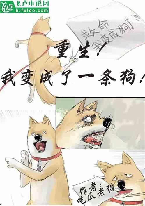 小说半路吃瓜全文阅读,一场意外引发的奇幻旅程